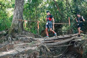 BIB: 
                            <button type="button" onclick="openModal(27745166)" class="btn btn-primary btn-sm float-right btn-popup" data-toggle="modal" data-target=".modal-high-quality">
                        <i class="fas fa-shopping-cart"></i> Add to Cart
                    </button>
                                            <button type="button" onclick="isThisMe(27745166, true)" class="btn btn-success btn-sm float-right btn-popup btn-isme hidden" data-toggle="tooltip" data-placement="bottom" title="นี่คือรูปของคุณใช่ไหม คลิกที่นี่เพื่อเอาเข้าอัลบั้ม">
                        <i class="fas fa-plus"></i> Add to album
                    </button>
                    <button type="button" onclick="isThisMe(27745166, false)" class="btn btn-warning btn-sm float-right btn-popup btn-isnotme hidden">
                        <i class="fas fa-ban"></i> Remove from album
                    </button>